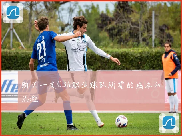 购买一支CBA职业球队所需的成本和流程